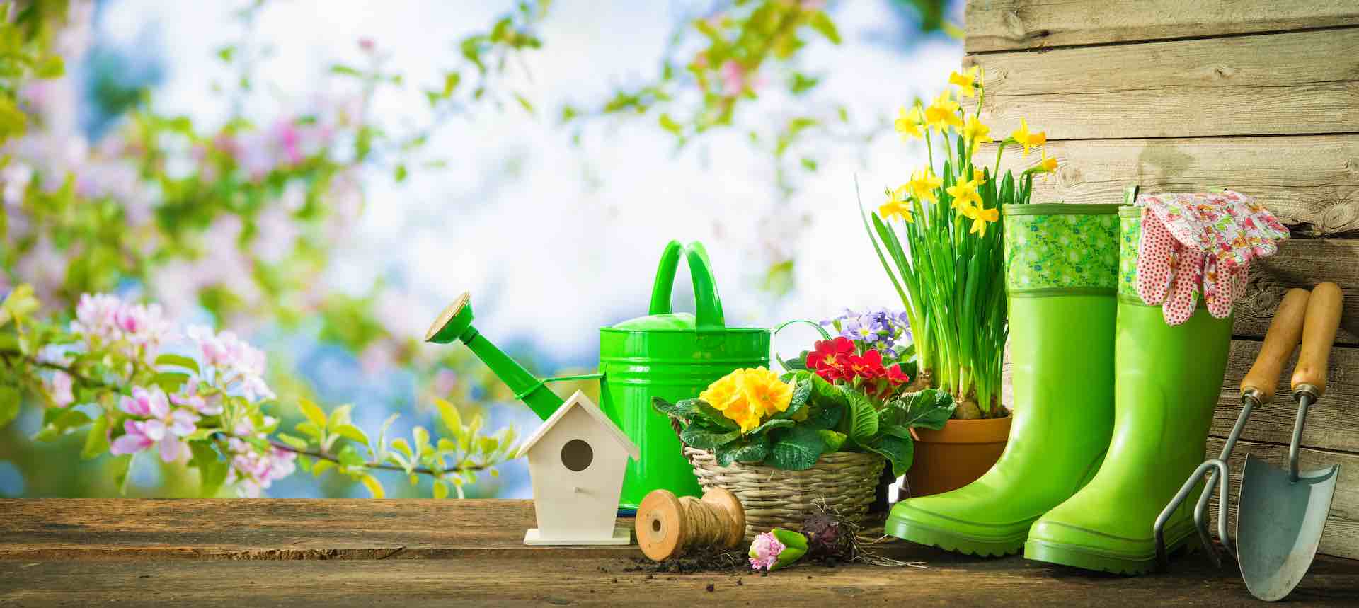 Gardening tools and spring flowers on the terrace | In The Bag ...